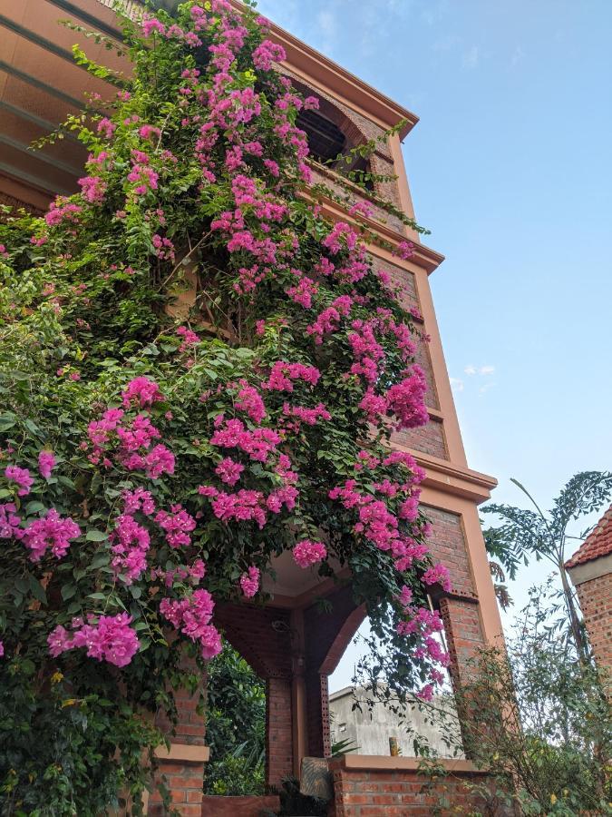 Ninh Binh Greenland Homestay Bagian luar foto